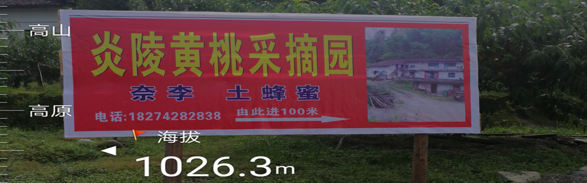 联系我们